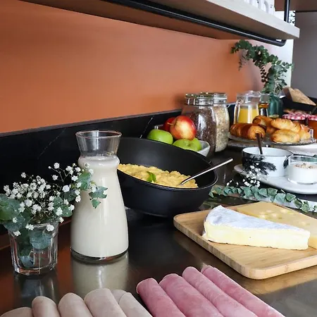 Appart'city Confort Centre Gare 3* 佩皮尼昂